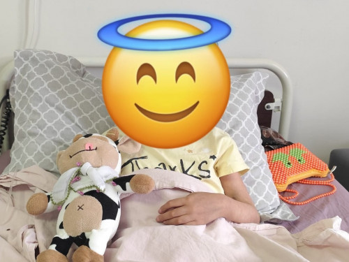 Amine Vera