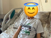 Çınar