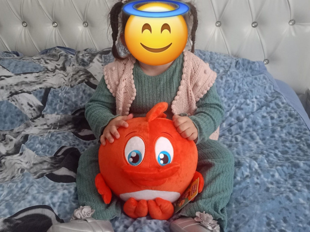 Hatice Nur
